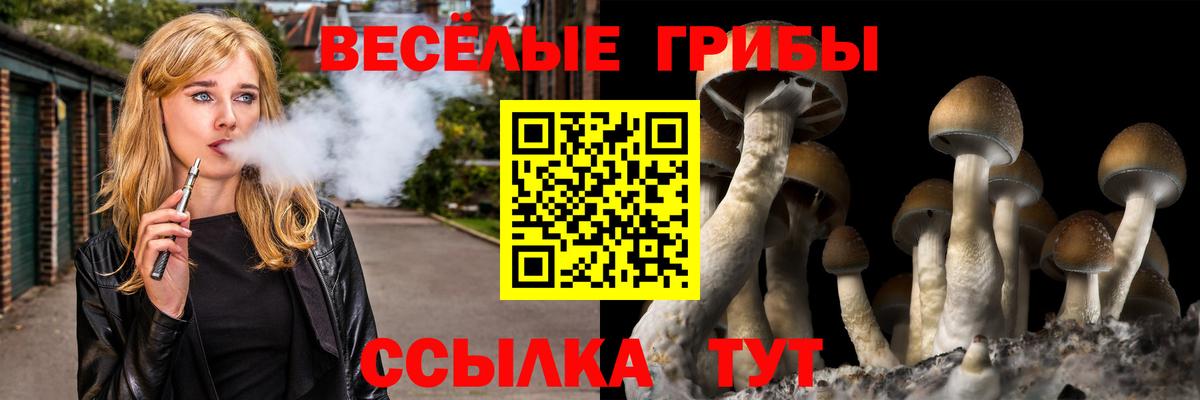 Псилоцибиновые грибы ЛСД  Псилоцибиновые грибы Cubensis  Джанкой  Вход с VPN 